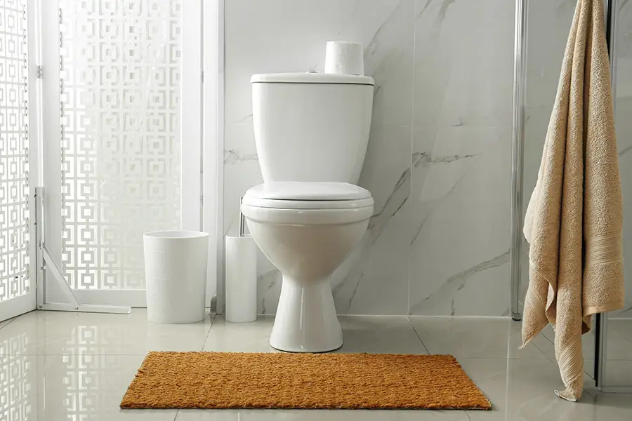 Toilet installation completed successfully